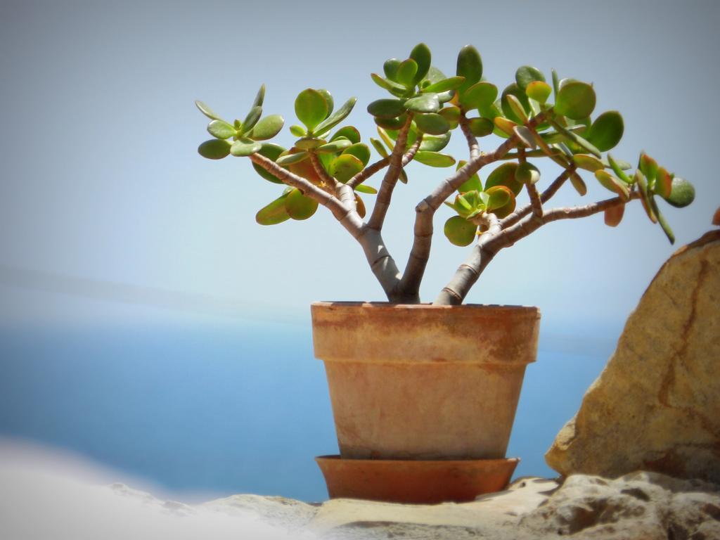 Appartamento Don Nino Lido di Noto Екстериор снимка
